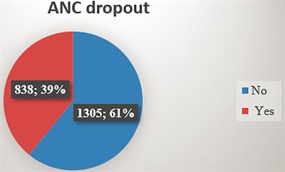 More Than One-Third of Pregnant Women in Ethiopia Had Dropped Out From Their ANC Follow-Up: Evidence From the 2019 Ethiopia Mini Demographic and Health Survey